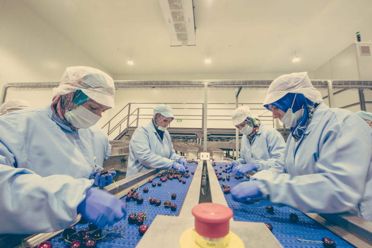 YAKA quality control and sorting process