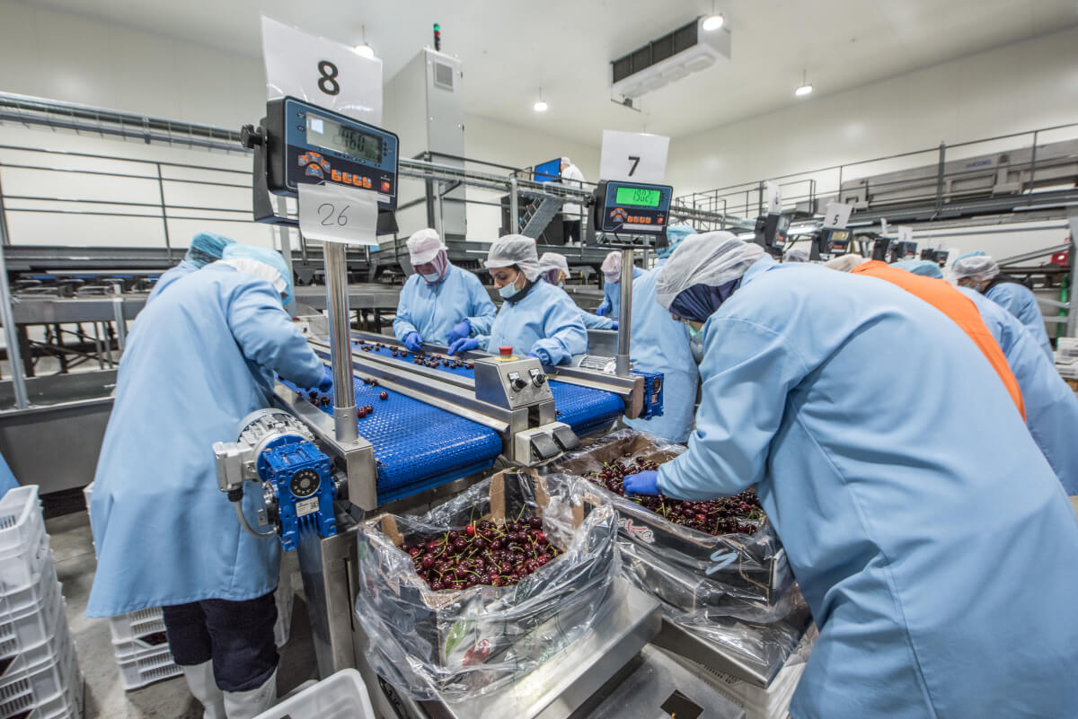 YAKA modern processing hall